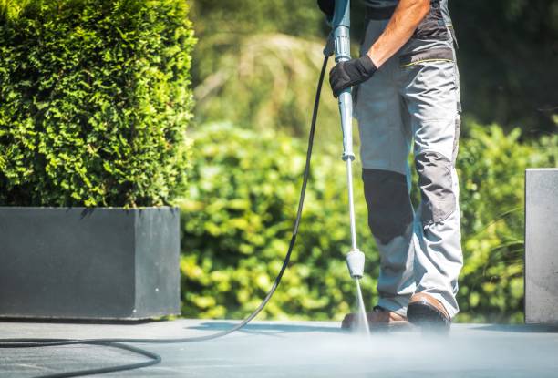 Best Sidewalk and Walkway Cleaning  in Waelder, TX