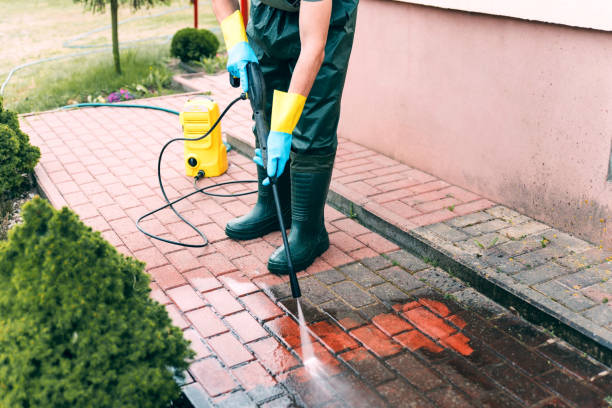 Best Driveway Pressure Washing  in Waelder, TX